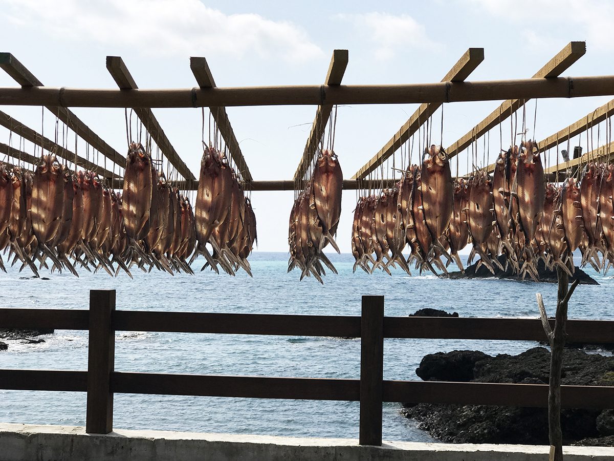 蘭嶼東清灣海邊曬的飛魚乾
