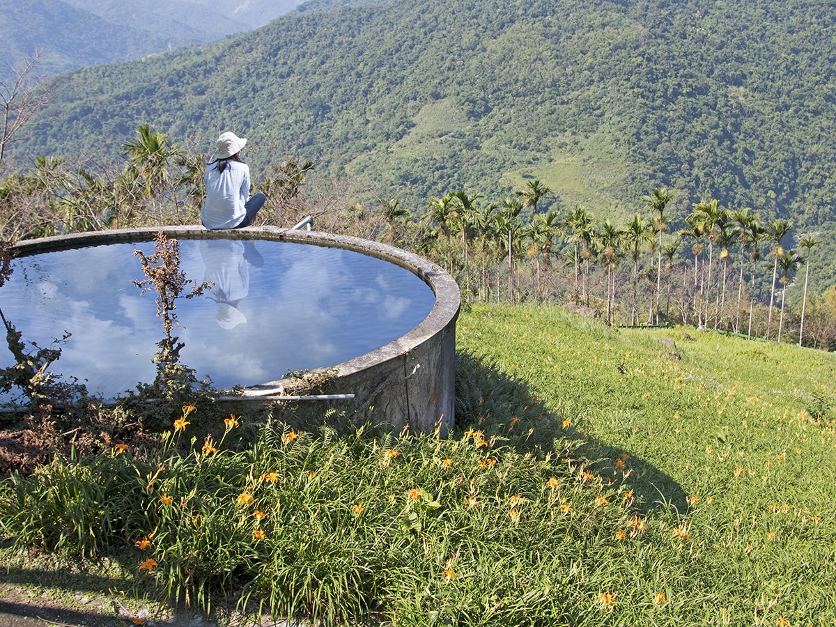 太麻里金針山的金針田與山谷